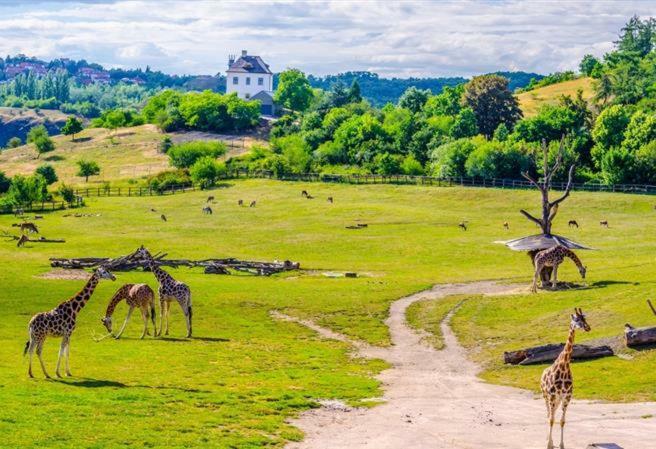 Lovely Apartment, Garden, Parking, Wifi, Netflix Прага